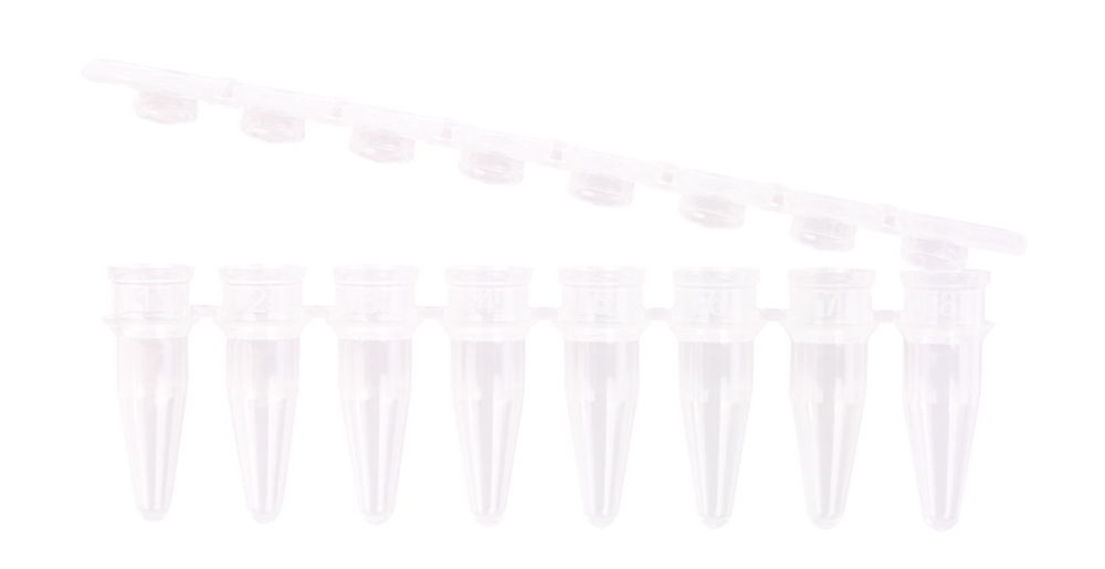 LLG-PCR tubes, PP, strips of 8 with seperate cap strips LLG-PCR tubes, PP, strips of 8 with seperate cap strips