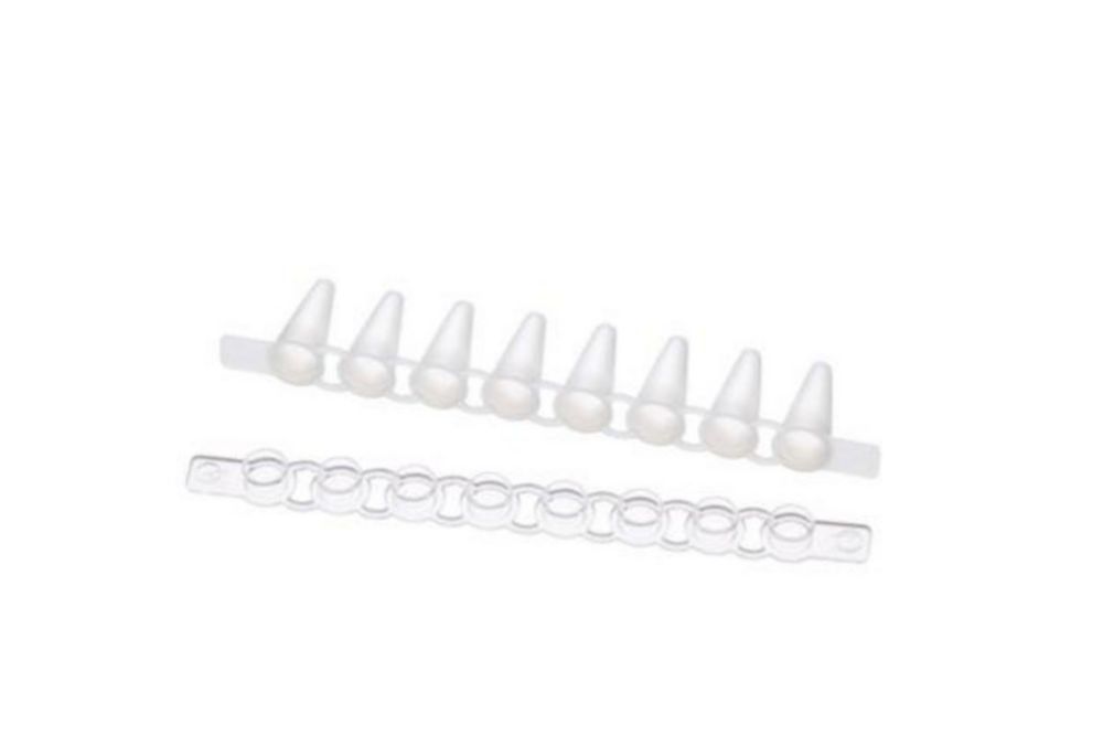 Fast PCR-Tubes 0,1 ml, 8er Strips mit separatem Deckelstreifen Fast PCR-Tubes 0,1 ml, 8er Strips mit separatem Deckelstreifen