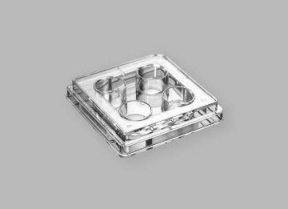 Cell Culture Plates, treated, PS, sterile Cell Culture Plates, treated, PS, sterile