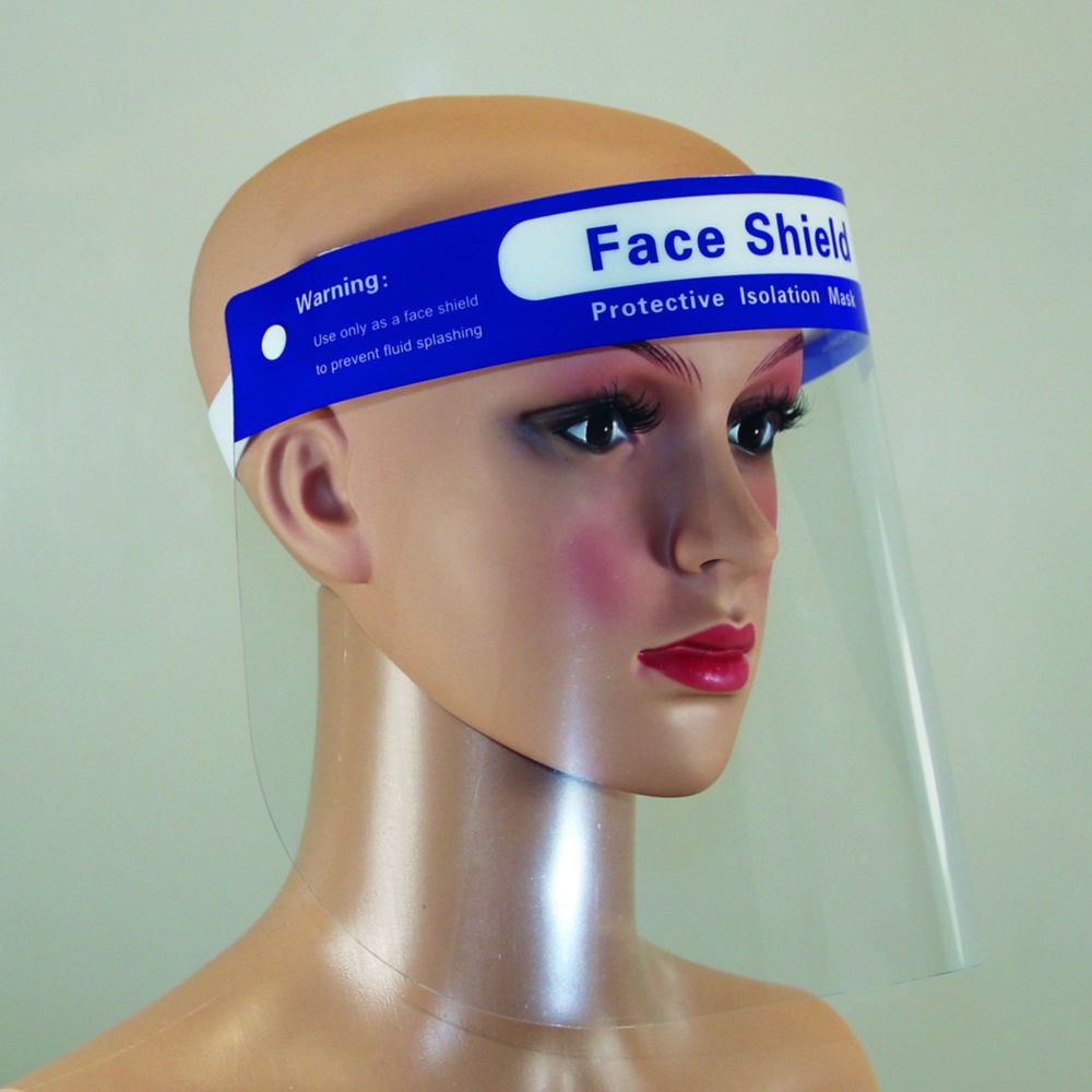 Protective Visor